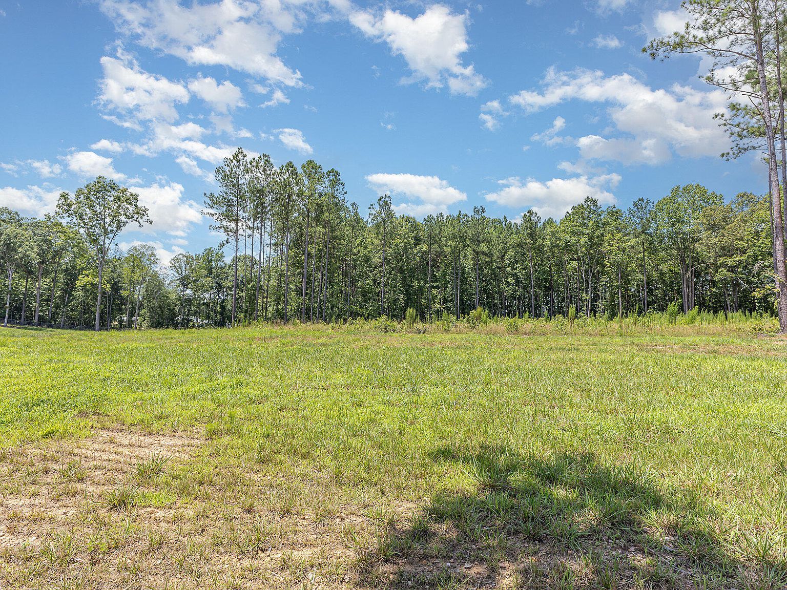 230 Bealy Farm Rd #2 Zebulon, NC 27597 - Thumbnail 4