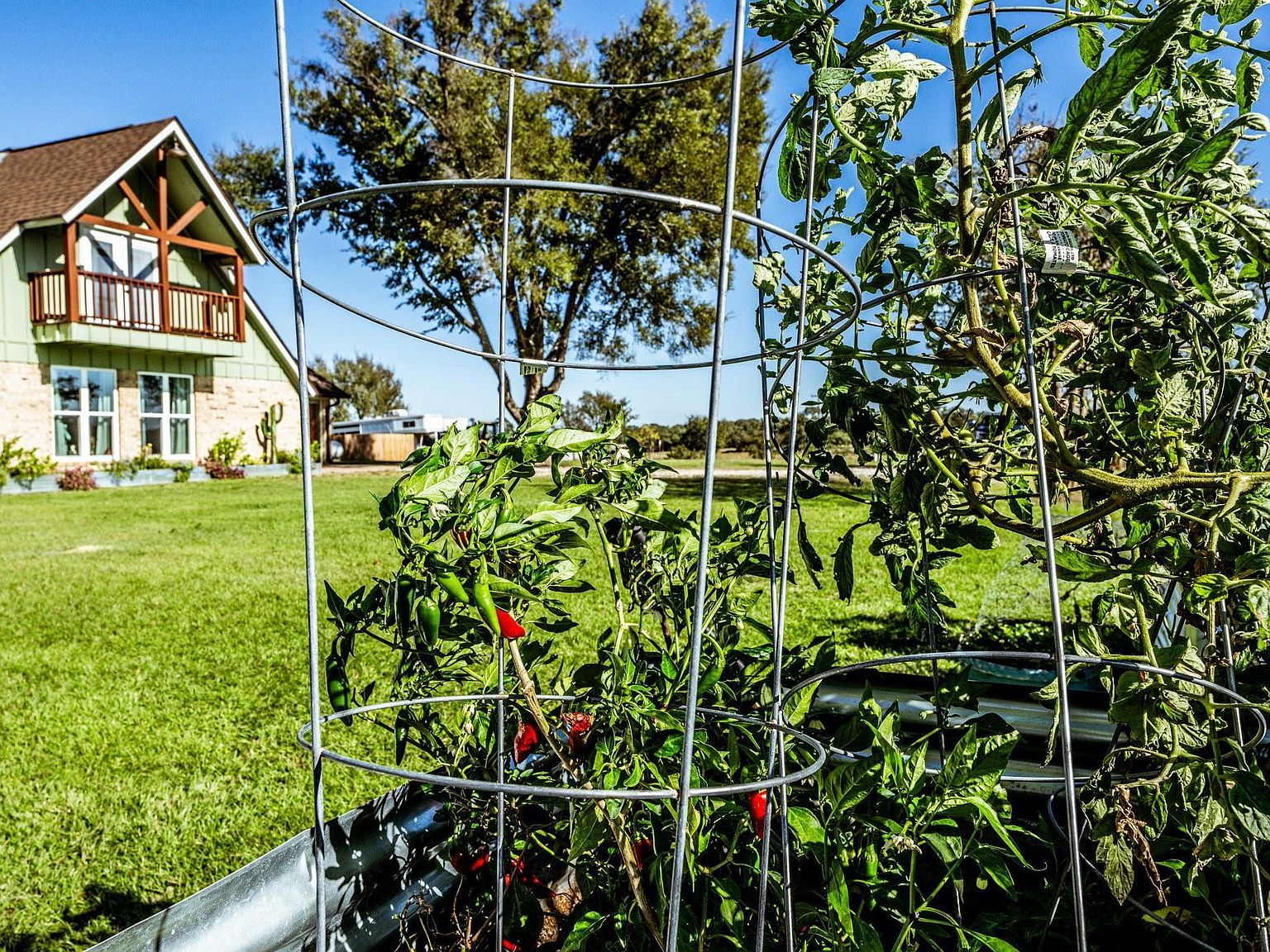 145 Private Road 5749 Groesbeck, TX 76642 - Thumbnail 4