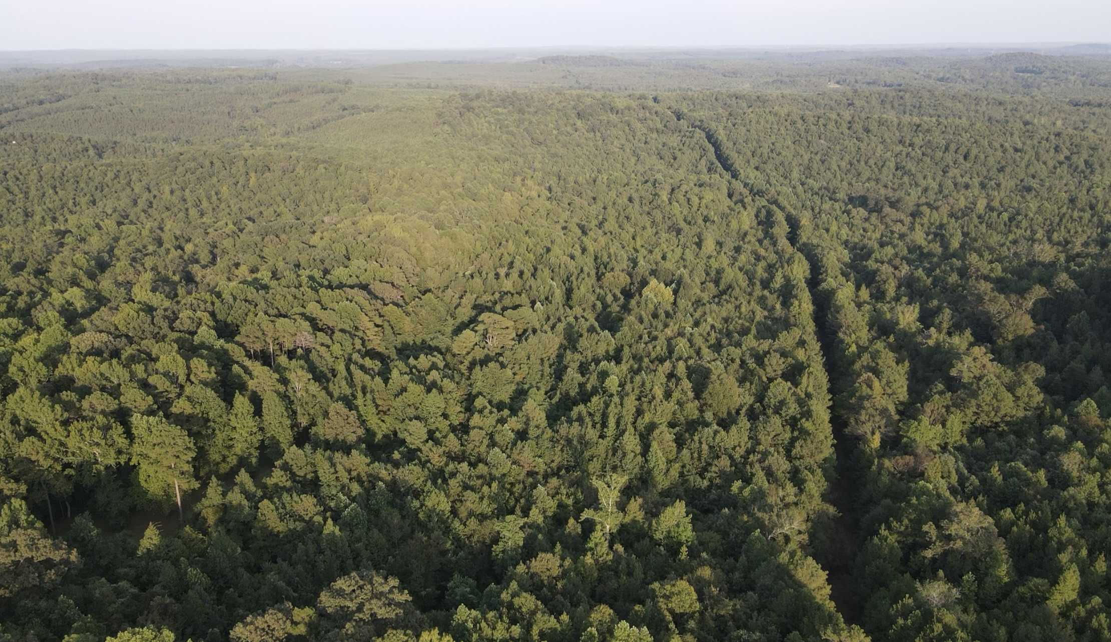 AL-17, Millport, AL, USA, 35576 - Thumbnail 4