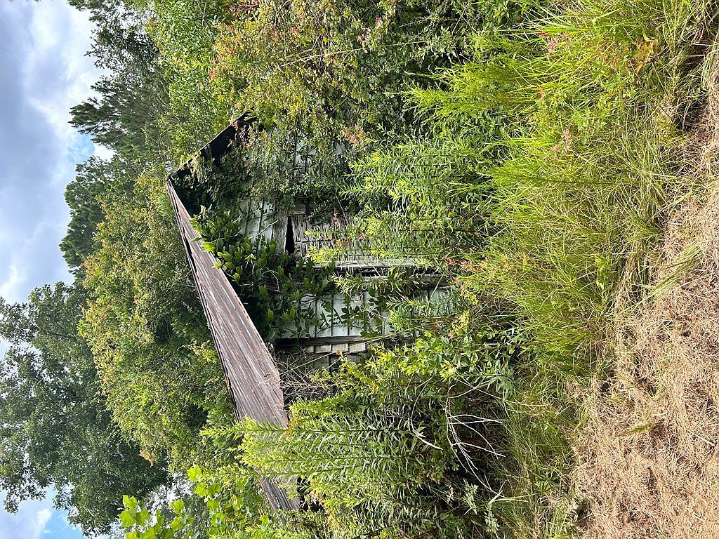 1941 Mora Rd Willacoochee, GA 31650 - Thumbnail 4