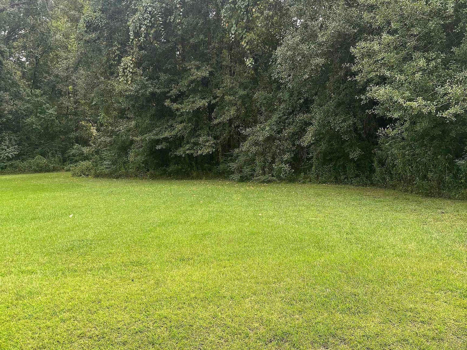 868 Saint John Ln Baton Rouge, LA 70807 - Thumbnail 4