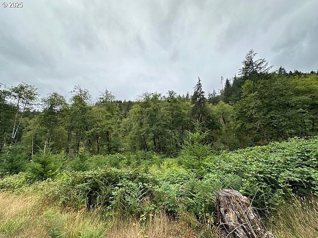 3 N Dubois Rd Ariel, WA 98603 - Thumbnail 4