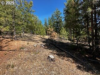 2 Orchard Heights Rd Goldendale, WA 98620 - Thumbnail 4