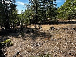 1 Orchard Heights Rd Goldendale, WA 98620 - Thumbnail 4