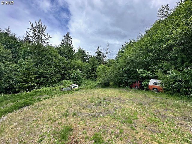 257 Serenity Ln Kalama, WA 98625 - Thumbnail 4