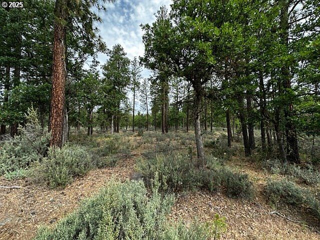 71 Teal Dr Goldendale, WA 98620 - Thumbnail 4