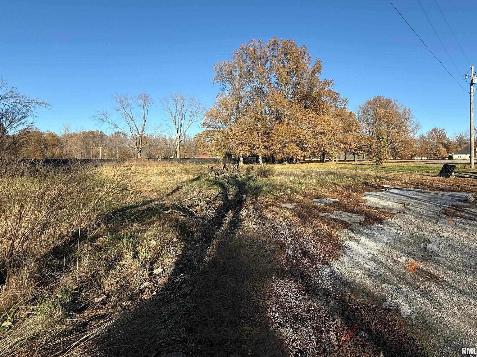 306 Orange St Freeman Spur, IL 62841 - Thumbnail 4