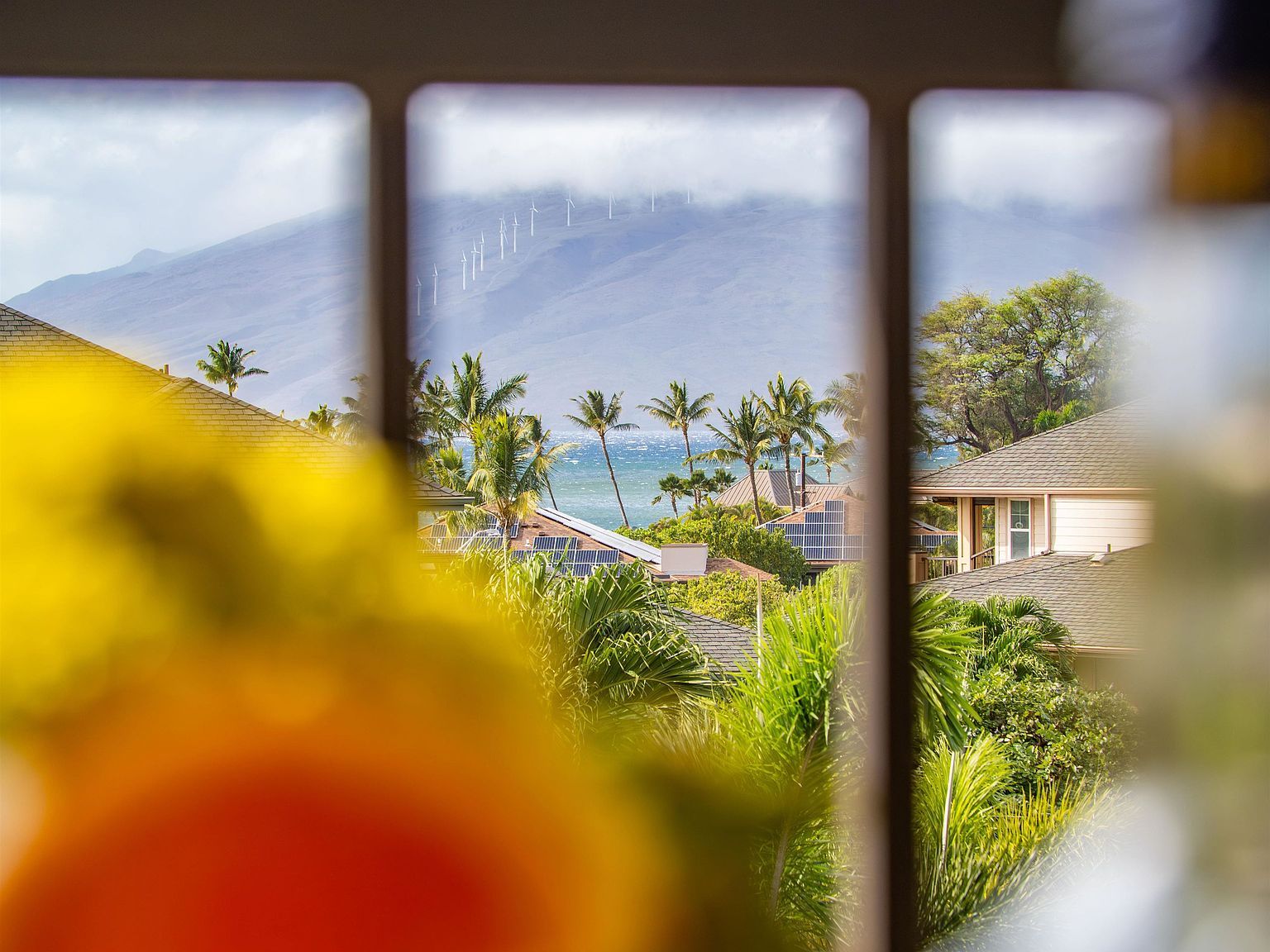 28 Hauwahine Ln #F203 Kihei, HI 96753 - Thumbnail 4