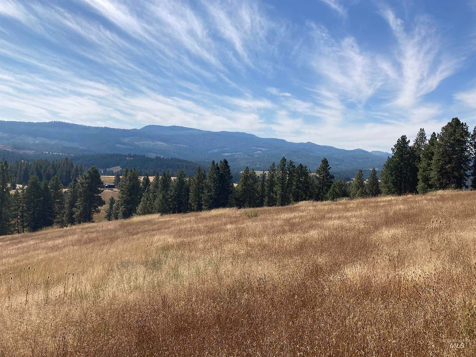 Tukta Way Ln Princeton, ID 83857 - Thumbnail 4