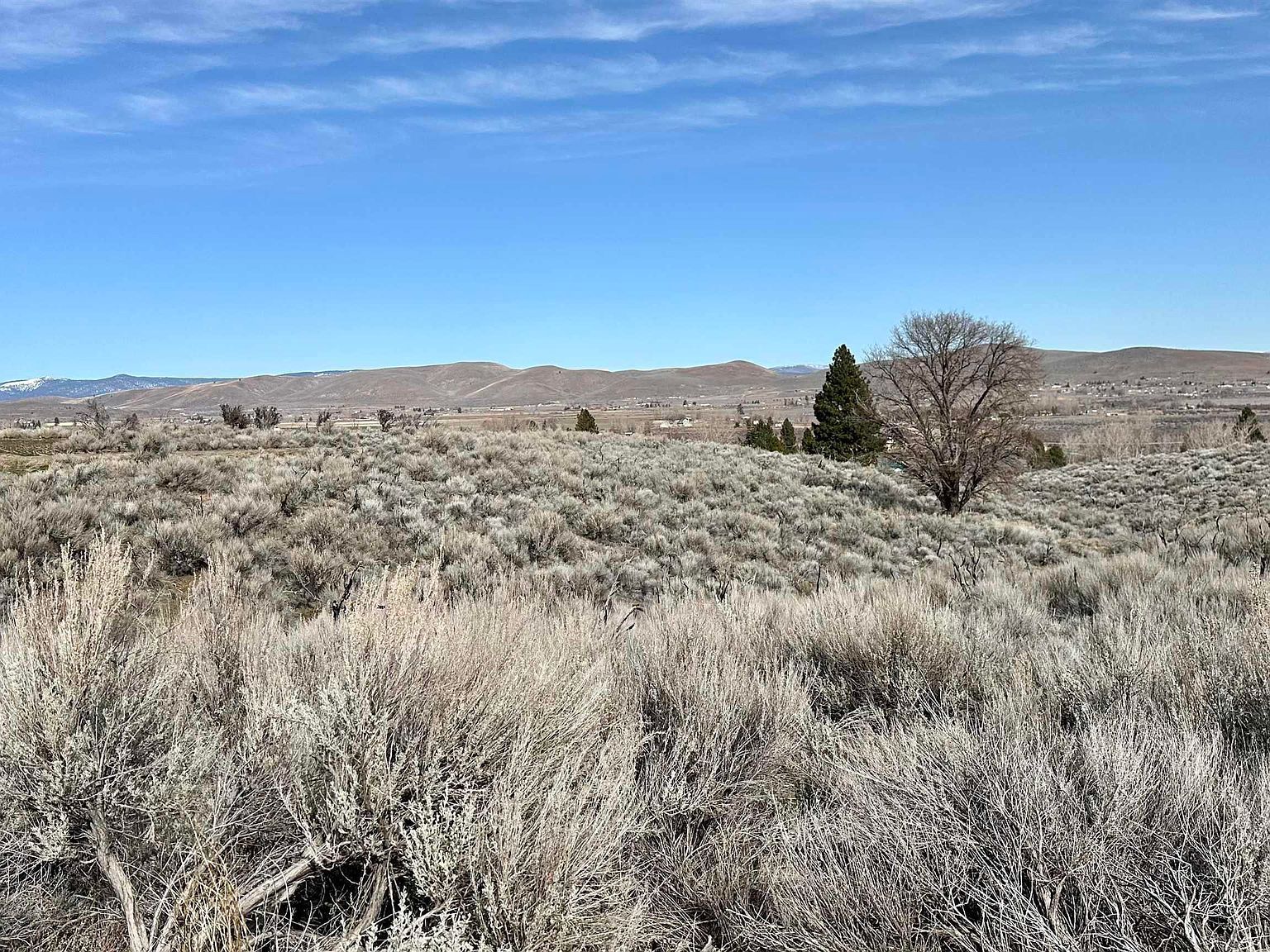 462-950 Jace Dr Janesville, CA 96114 - Thumbnail 4