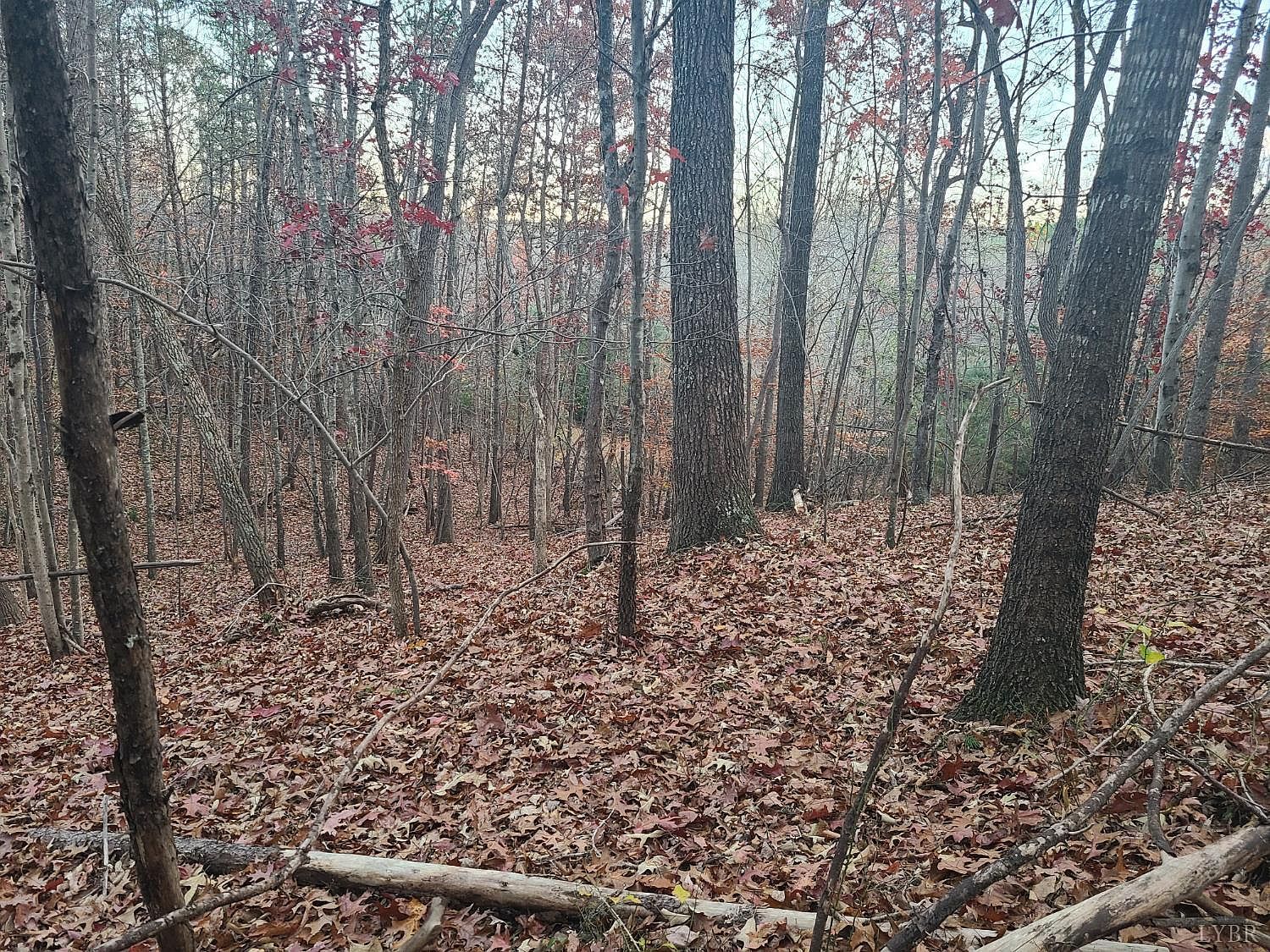 0 Ashwell Ridge Dr #14 Huddleston, VA 24104 - Thumbnail 4