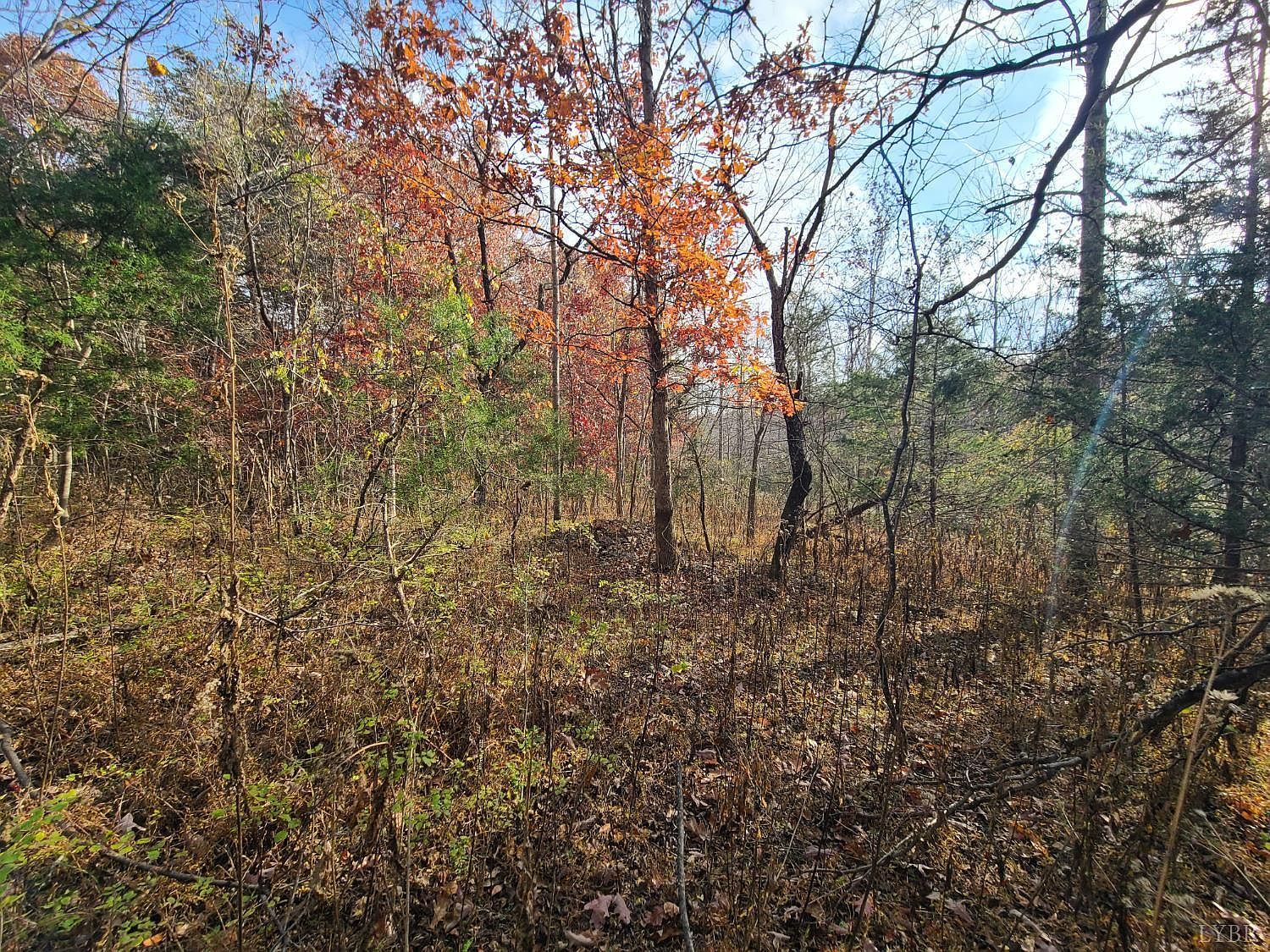 0 Pittsville Rd LOT 12 Gretna, VA 24557 - Thumbnail 4