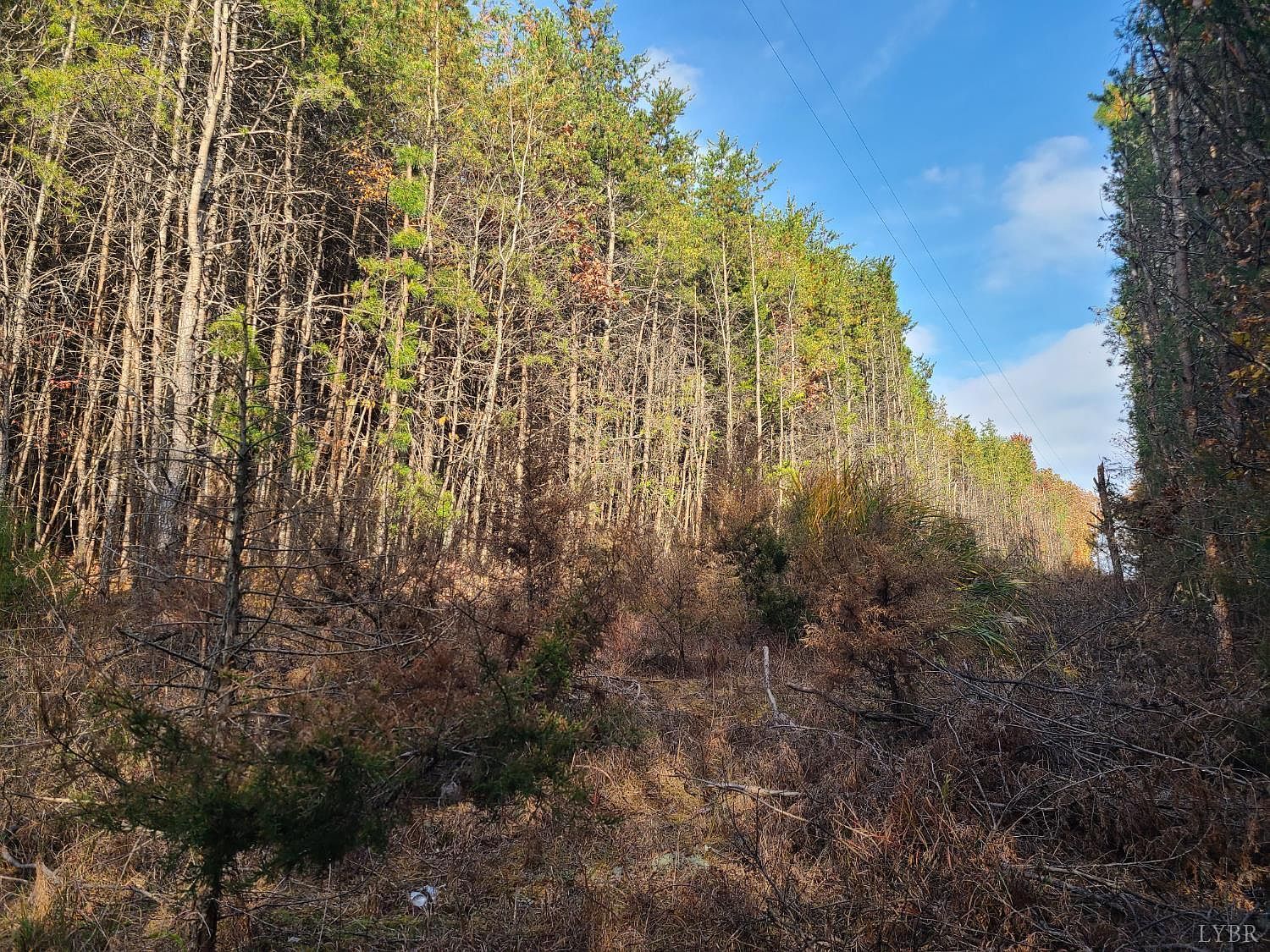 0 Pittsville Rd LOT 11 Gretna, VA 24557  | Land/Lot