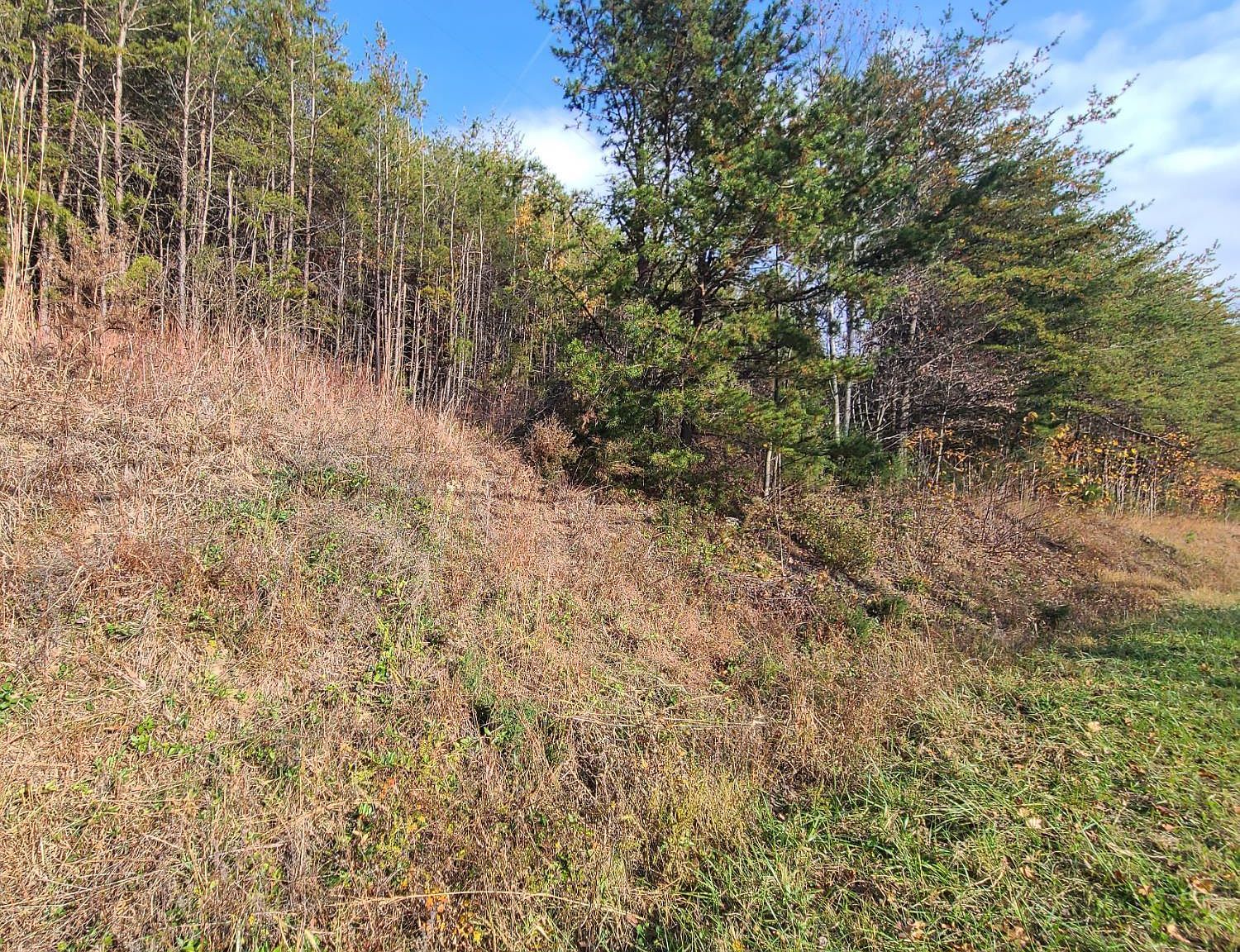 0 Pittsville Rd LOT 10 Gretna, VA 24557 - Thumbnail 4
