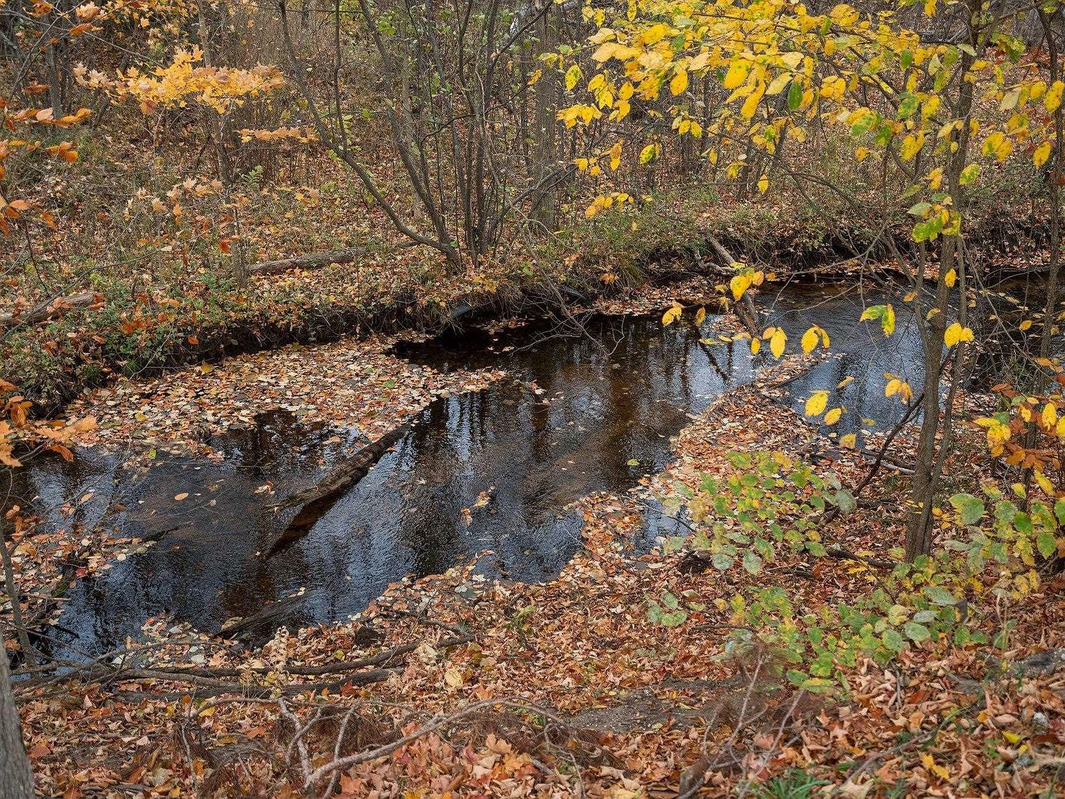 4255 Spencer Rd SE Kalkaska, MI 49646 - Thumbnail 4