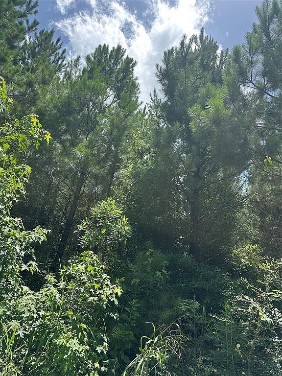 Dickens Loop Livingston, TX 77351 - Thumbnail 4