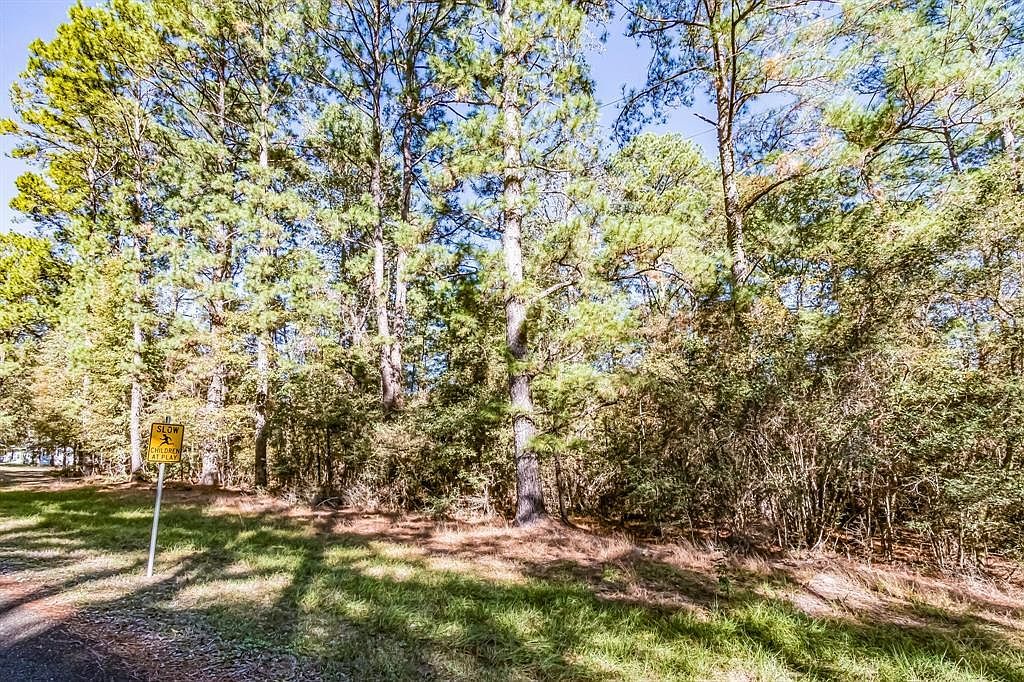 Mockingbird Hls LOT 503 Livingston, TX 77351 - Thumbnail 4