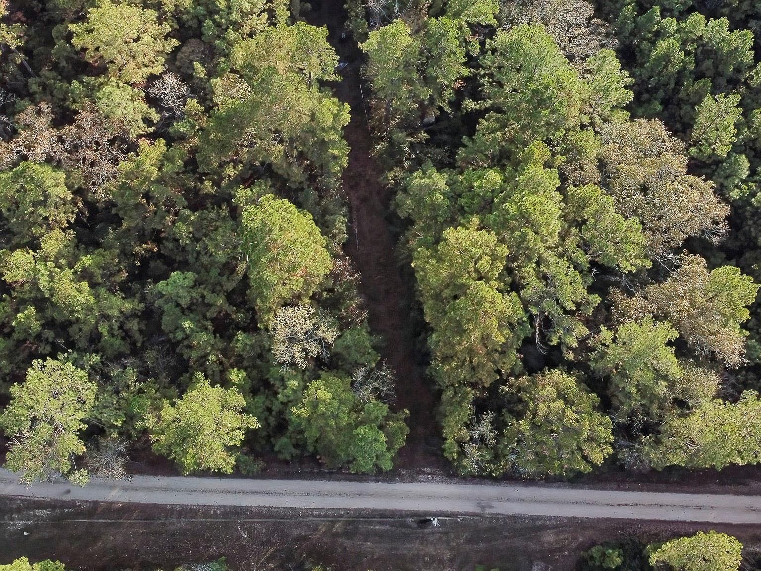 186 Rosanky Leggett, TX 77351 - Thumbnail 4