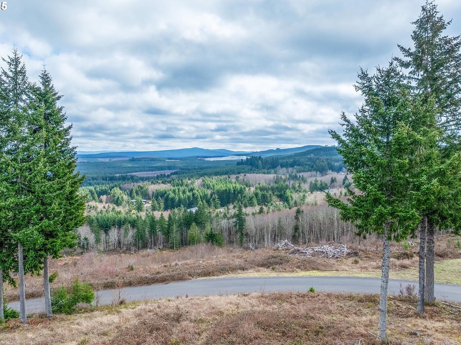 497 Red Hawk Dr #7 Castle Rock, WA 98611 - Thumbnail 4