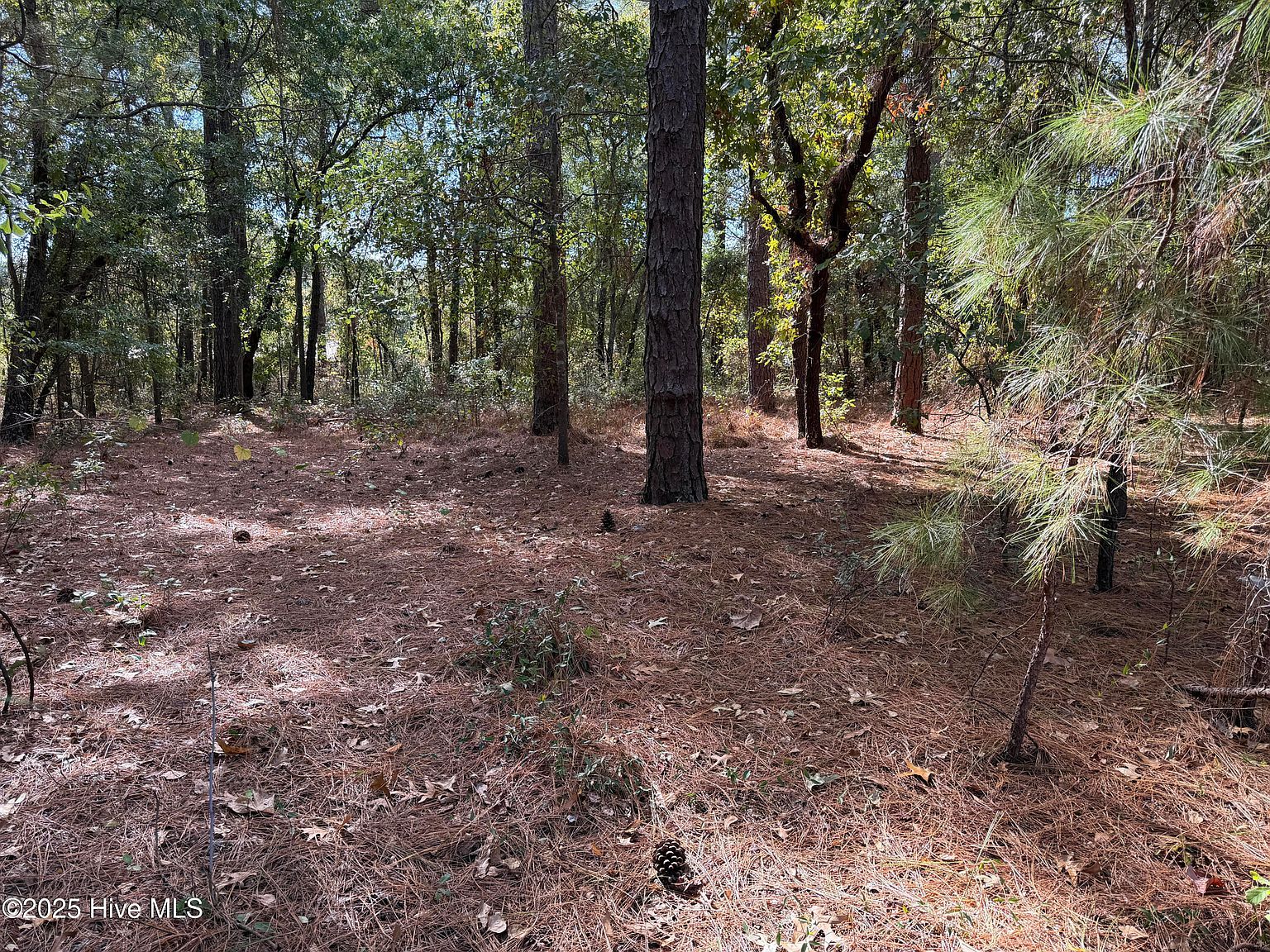 LOT 47 Ward Dr Dudley, NC 28333 - Thumbnail 4