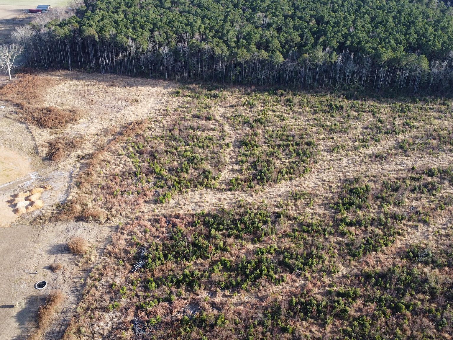 LOT 32 Talton Estates Dr Pikeville, NC 27863 - Thumbnail 4