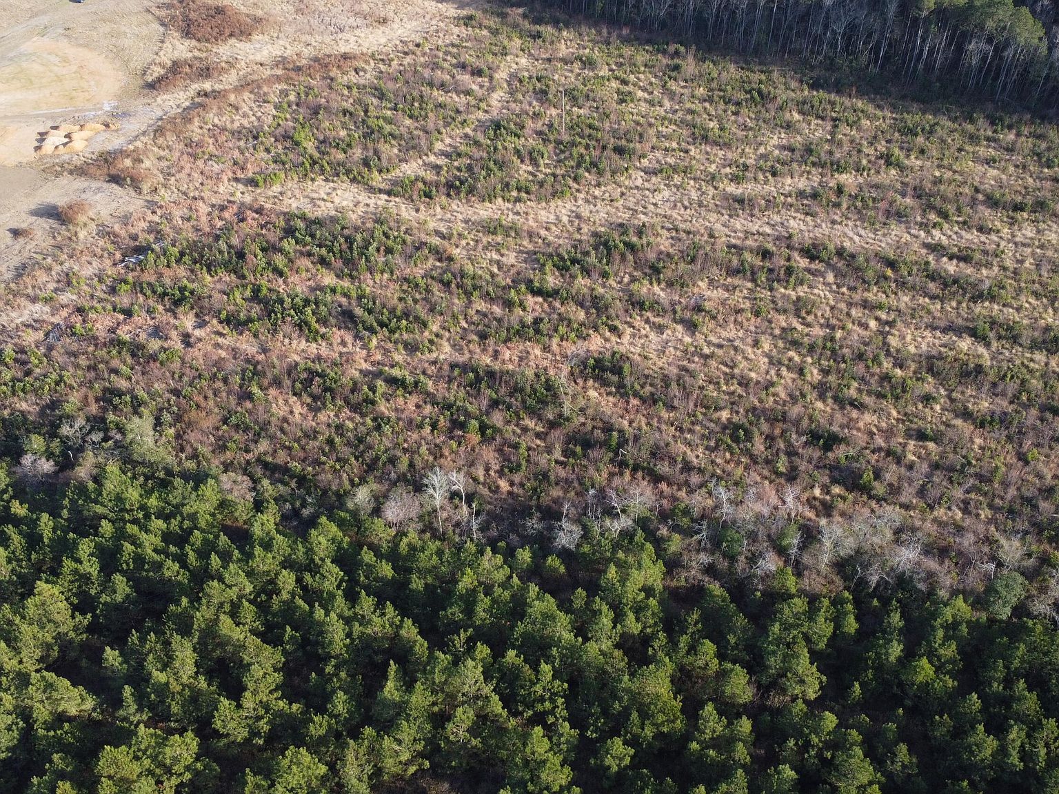 LOT 33 Talton Estates Dr Pikeville, NC 27863 - Thumbnail 4