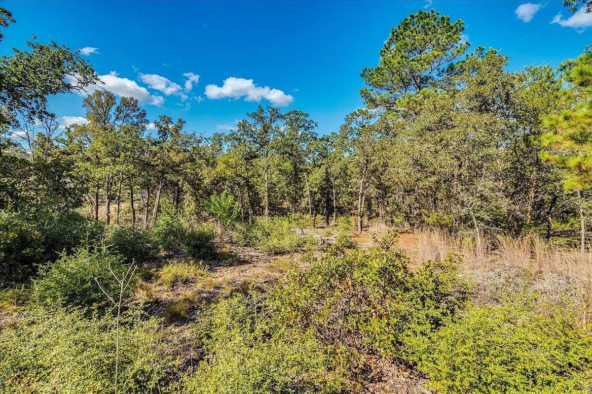 106 Wampum Smithville, TX 78957 - Thumbnail 4