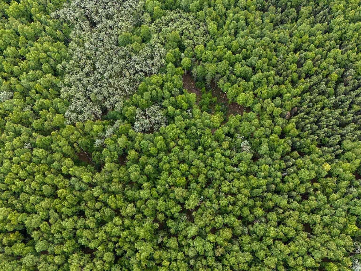 Nhn Grand Teton Rd Fairbanks, AK 99709  | Land/Lot