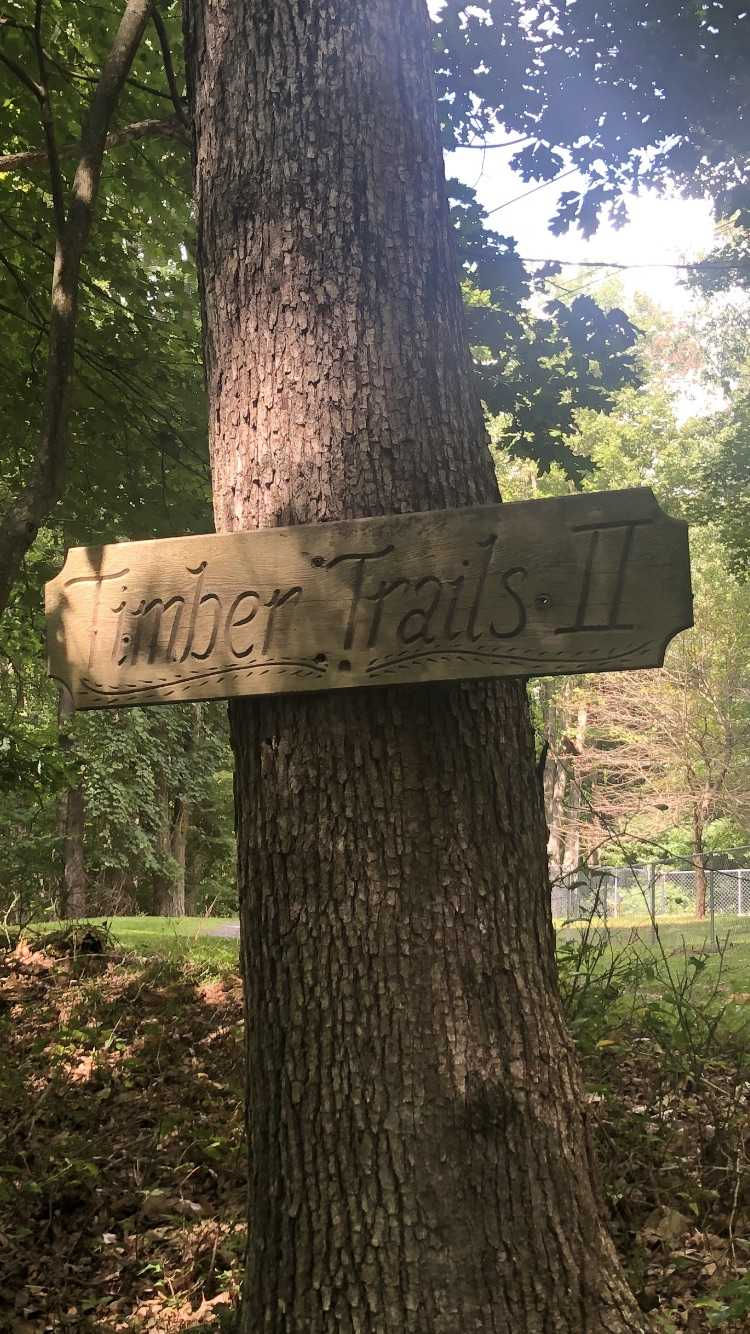 98 Bear Run Road, Oakland, MD, USA, 21550  | Single Family