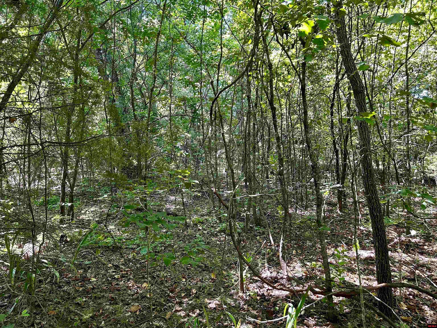 001-04468-000 County Road 606 Mountain Home, AR 72653 - Thumbnail 4