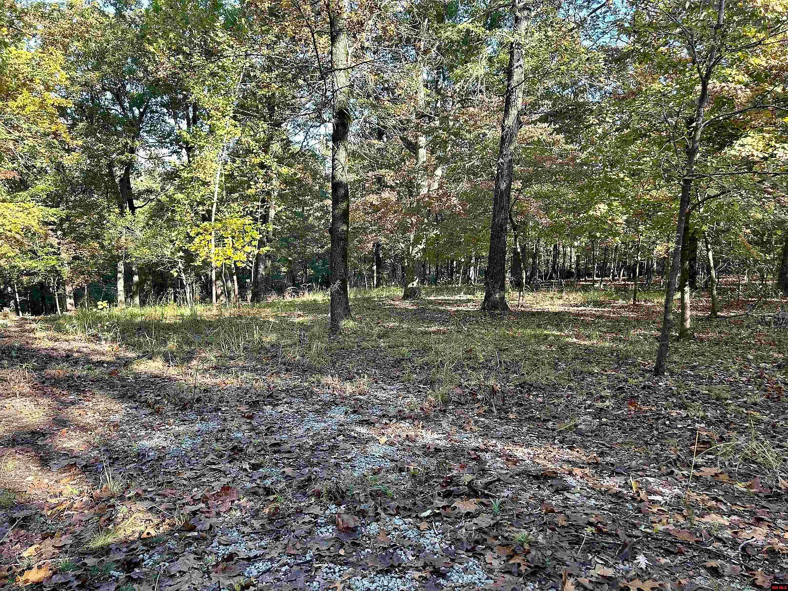 001-03309-006 Oakley Rd Mountain Home, AR 72653 - Thumbnail 4