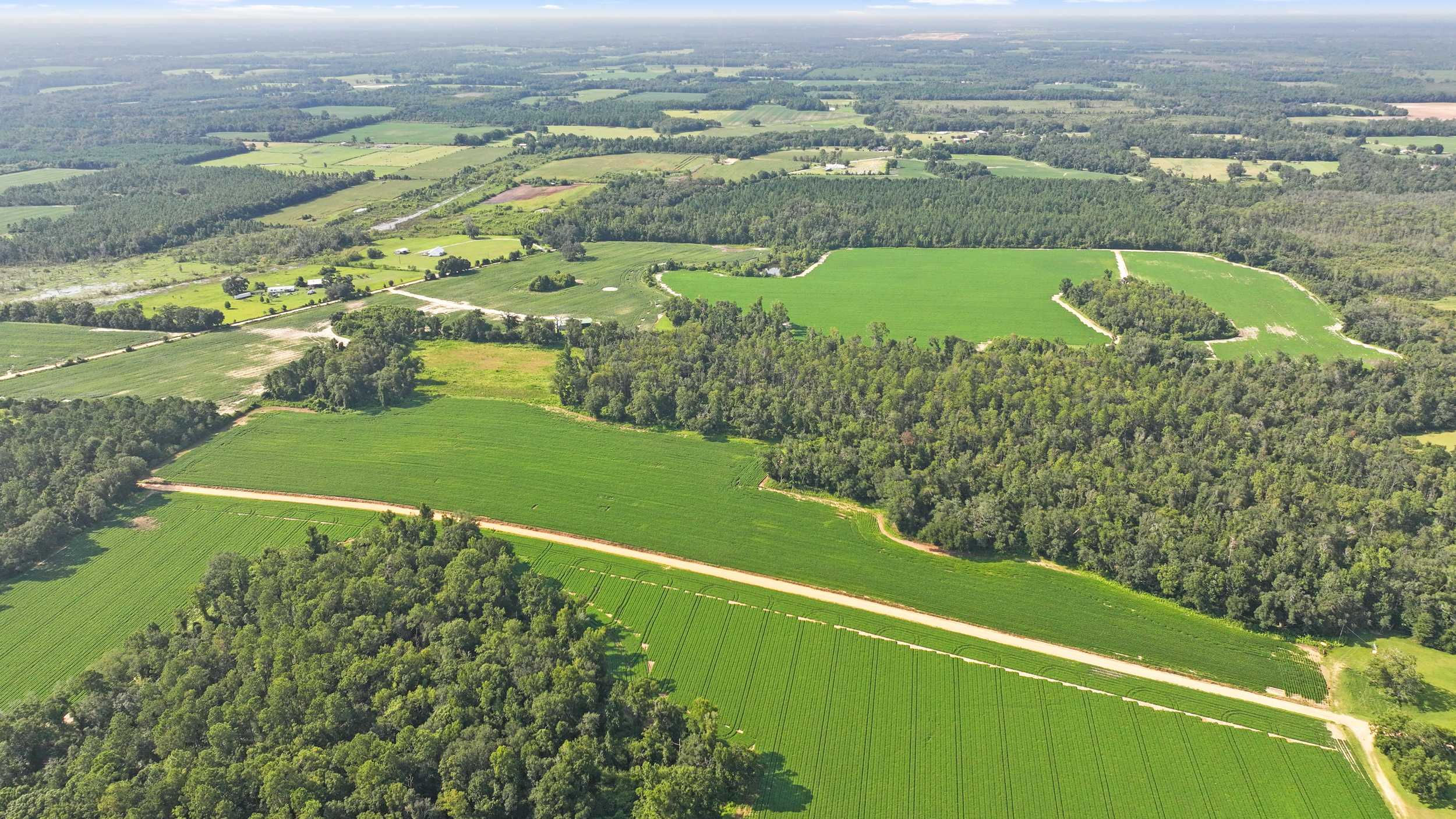 0000 Eldridge Road, Cottondale, FL, 32431 - Thumbnail 5