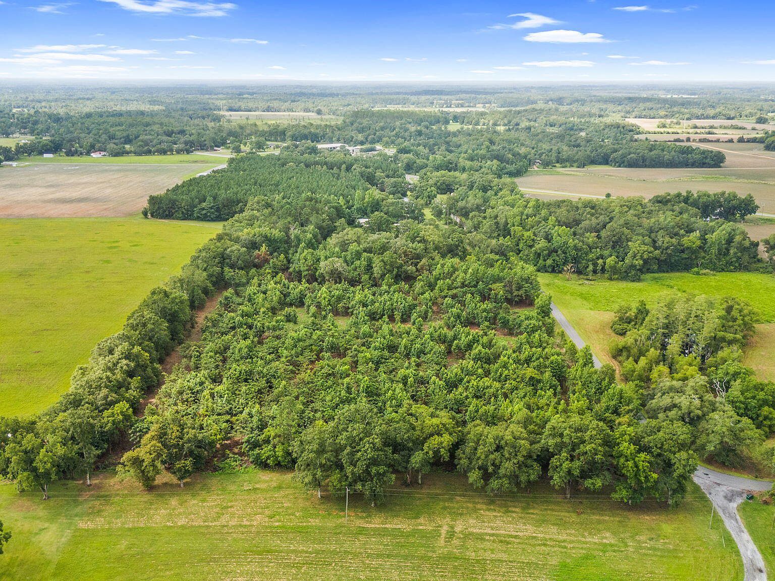 PARCEL 4 1st Ave Graceville, FL 32440 - Thumbnail 4