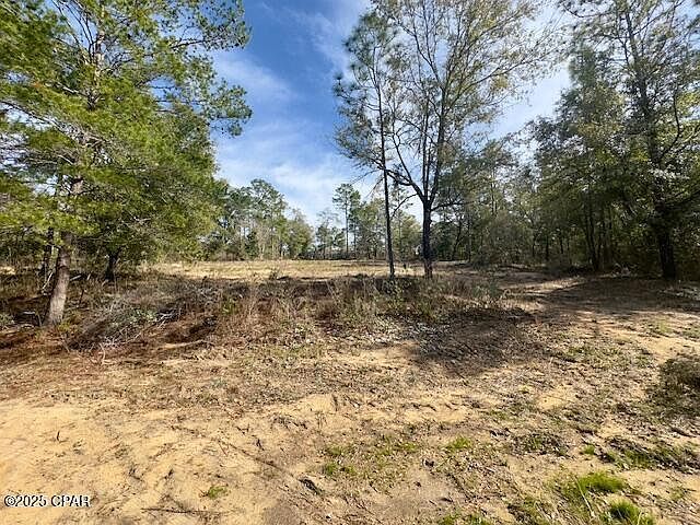 LOT 19 Paradise Lakes Rd Chipley, FL 32428 - Thumbnail 4