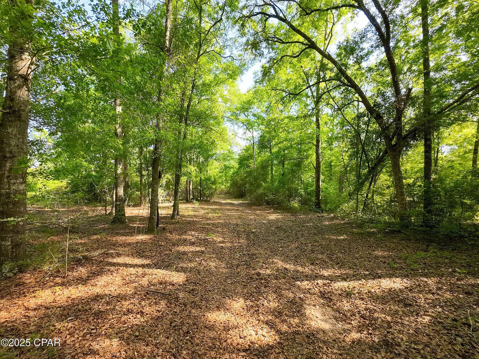 Nearing Hills Cir Chipley, FL 32428 - Thumbnail 4