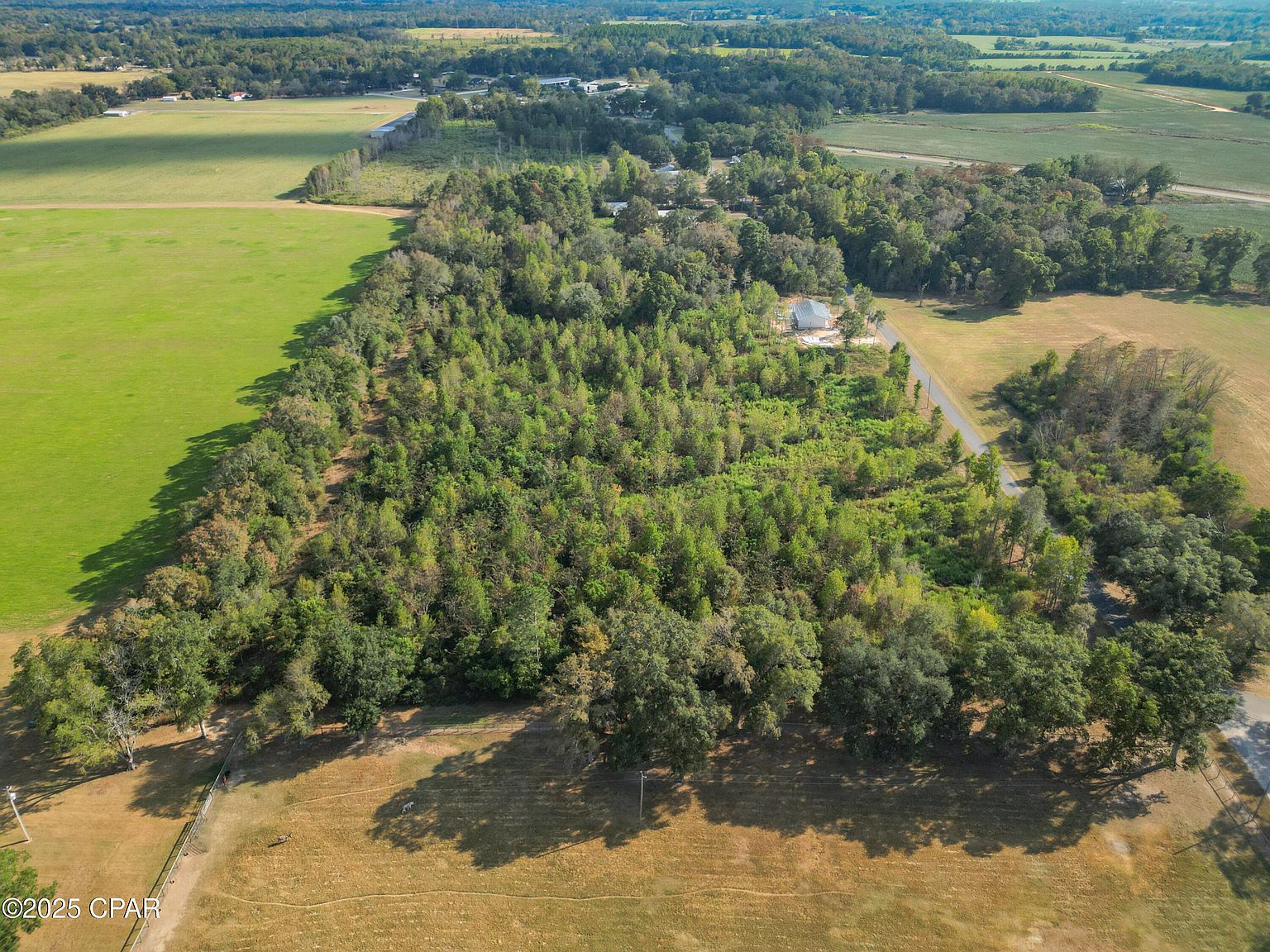 PARCEL 3 1st Ave Graceville, FL 32440 - Thumbnail 4