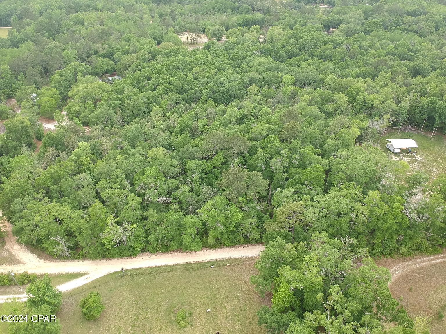 Goat Forehand Ln Bonifay, FL 32425  | Land/Lot