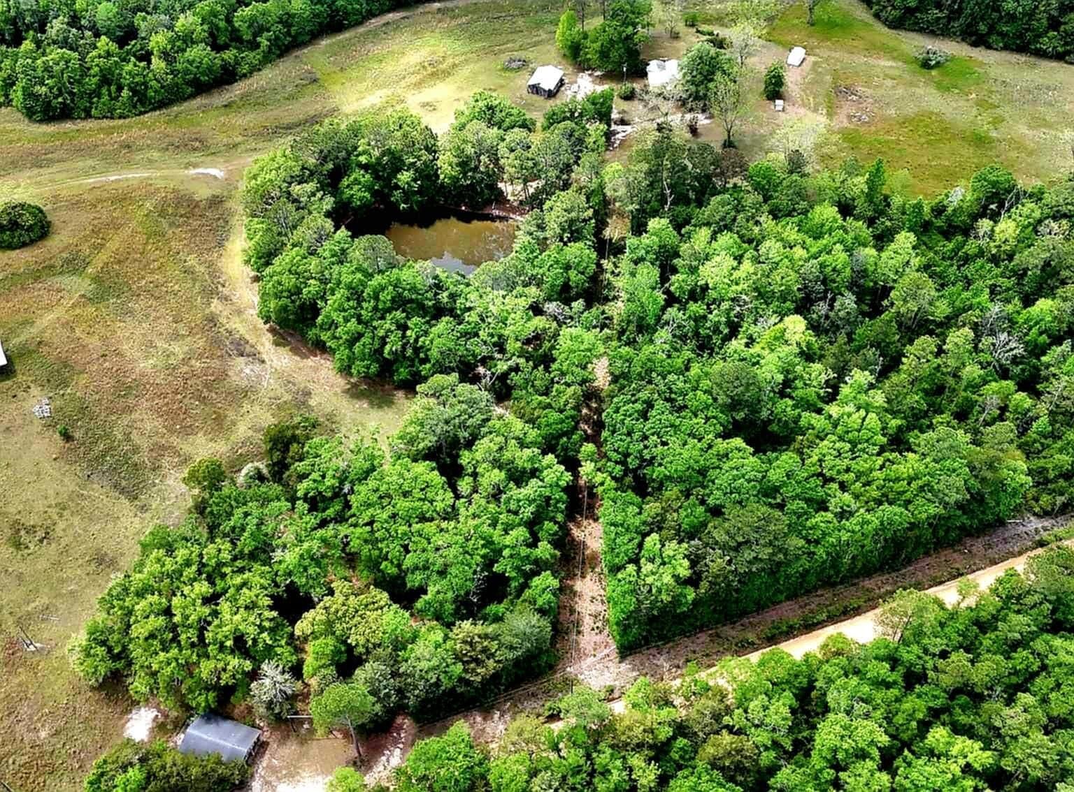 1718 Robbins Bridge Rd Bonifay, FL 32425 - Thumbnail 4