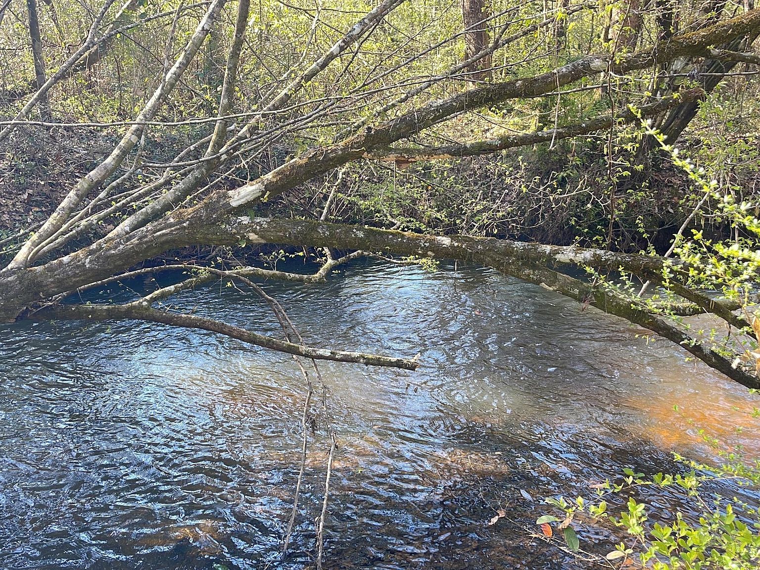 37 Ten Mile Rd Bonifay, FL 32425 - Thumbnail 4