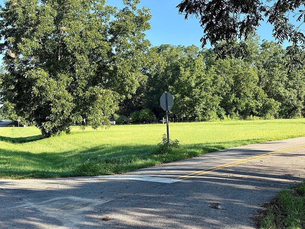 0 W Lowery St Black, AL 36314 - Thumbnail 4