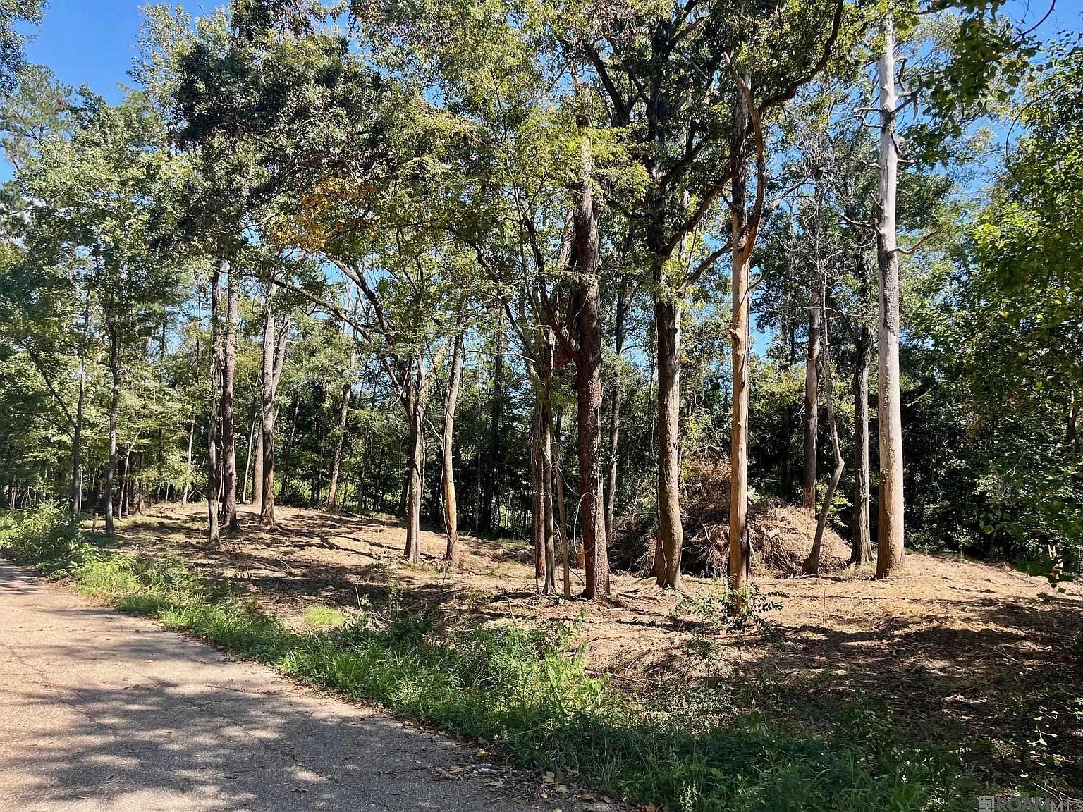 16114 Chaumont Ave Greenwell Springs, LA 70739 - Thumbnail 4