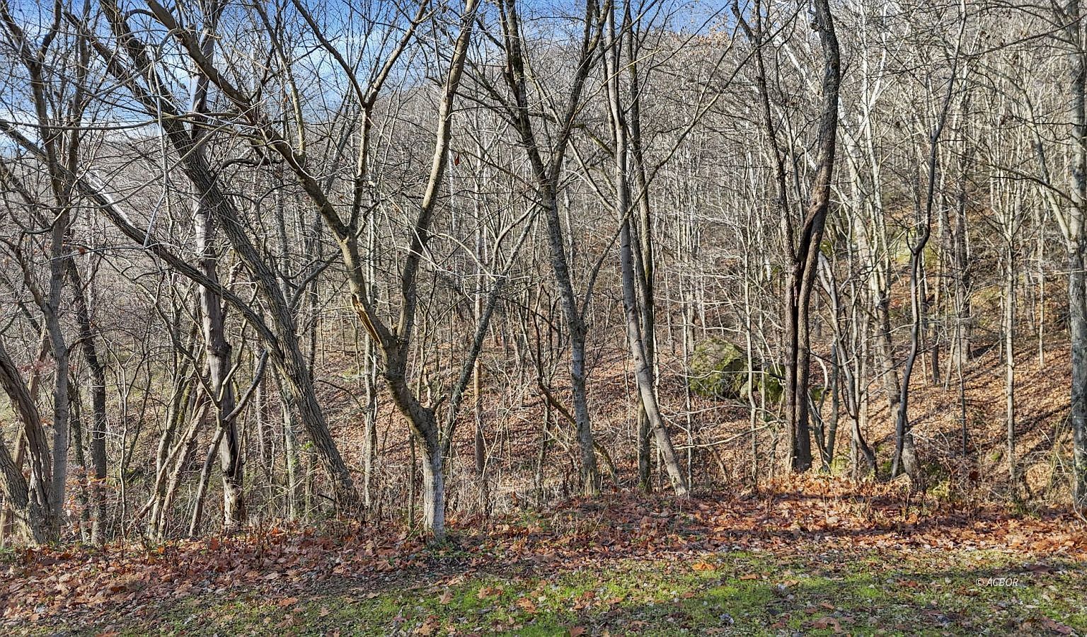 34673 Broderick Hollow Rd Pomeroy, OH 45769 - Thumbnail 4