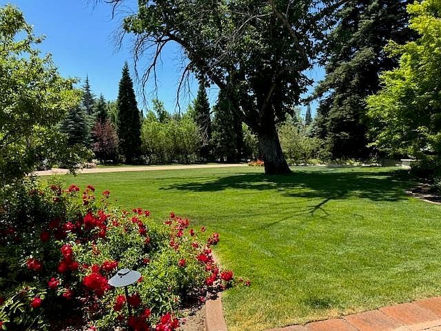 631 California Ave Reno, NV 89509 - Thumbnail 4