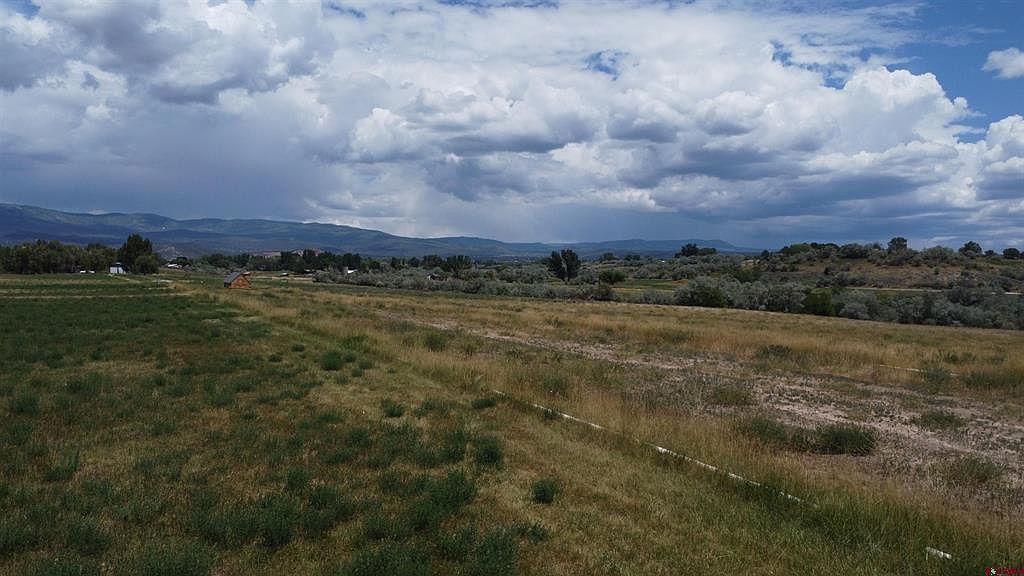 Tbd Bull Mesa Rd Cedaredge, CO 81413 - Thumbnail 4