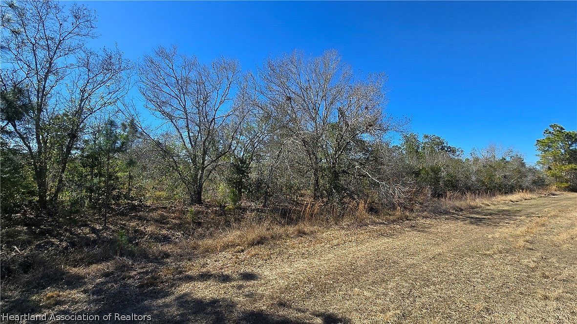 1870 Bear Bryant Rd Avon Park, FL 33825 - Thumbnail 4