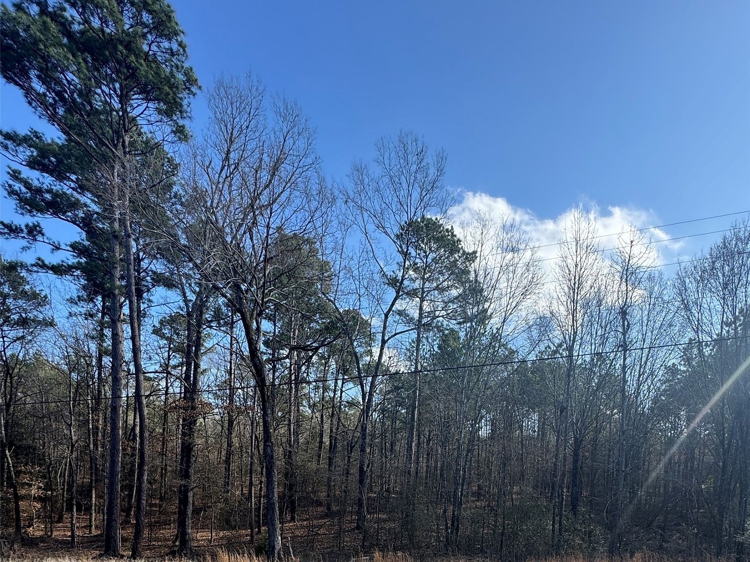 0 Jefferson Paige Rd Shreveport, LA 71119  | Land/Lot