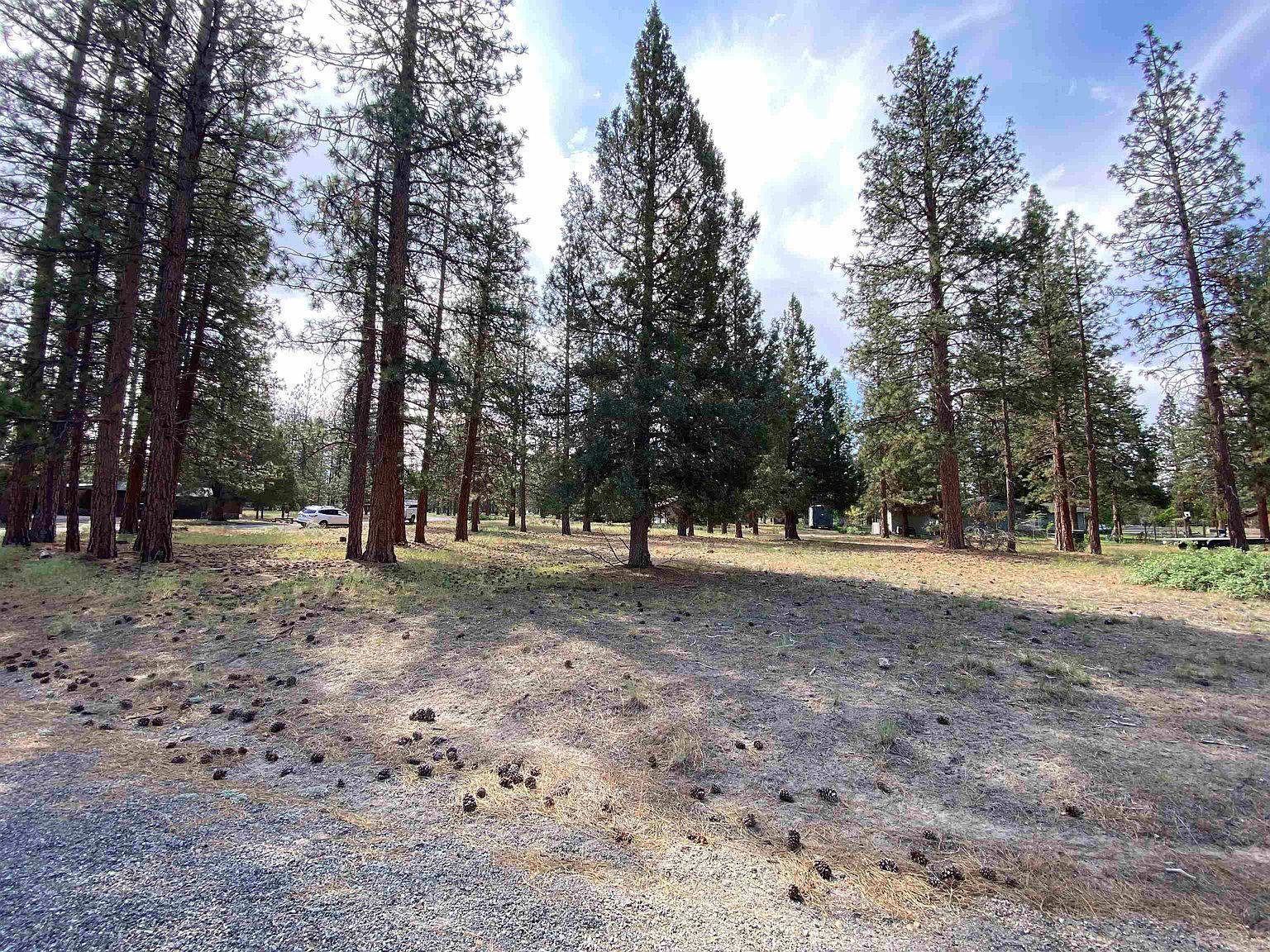 LOT 27 Hogan Dr Weed, CA 96094 - Thumbnail 4