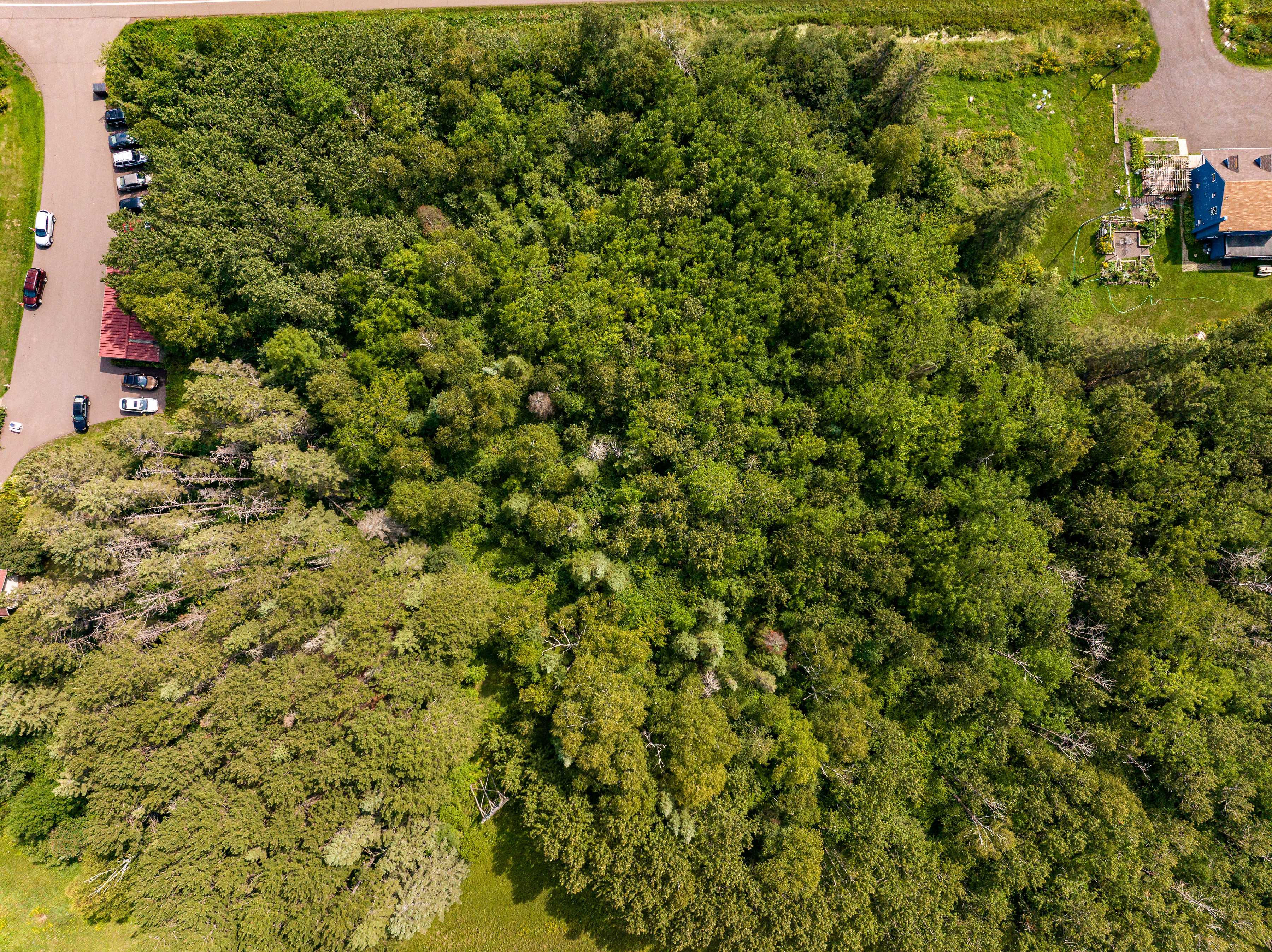 5xx Scenic Drive, Larsmont, MN, 55616 - Thumbnail 4