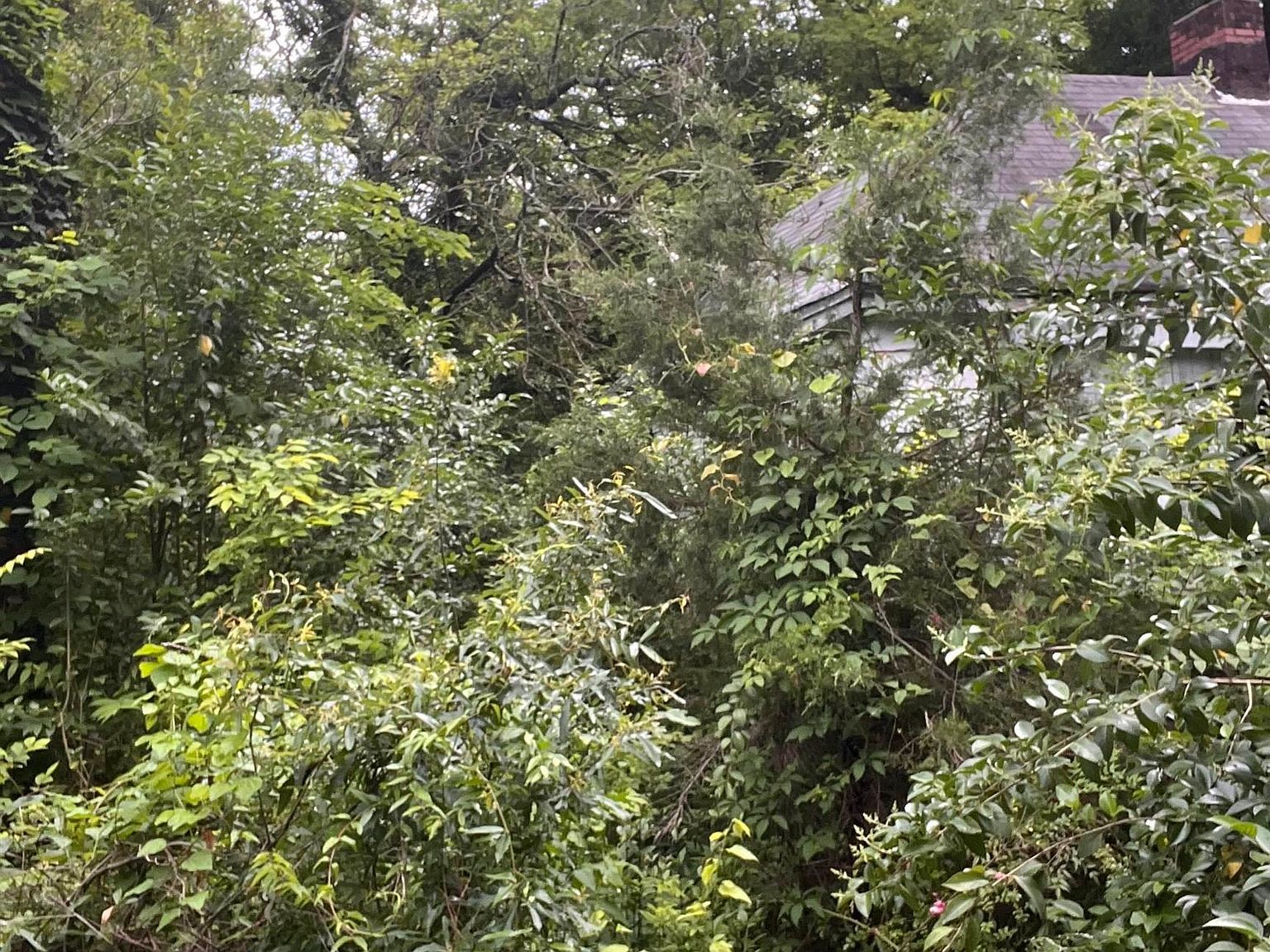 1310 Roadway St Anderson, SC 29624 - Thumbnail 4