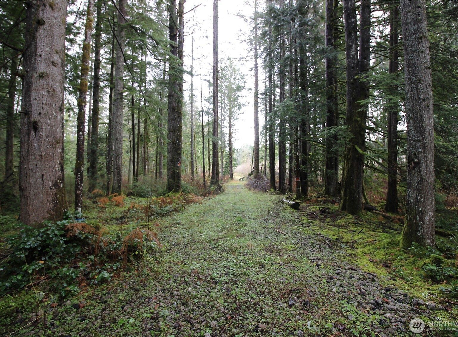 0 SE 364th Ave Maple Valley, WA 98038 - Thumbnail 4